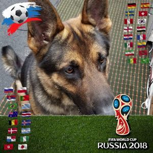 Meet your Posher, Rodolfo